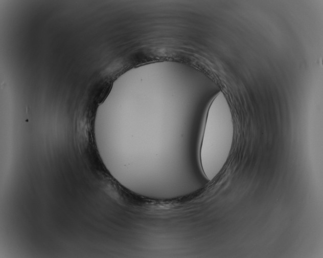 X0000088180235200705150945