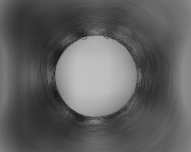X0000088180236200705150945