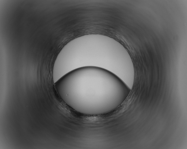 X0000088180237200705150945