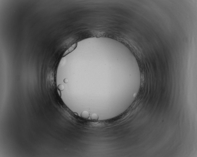 X0000088180238200705150945