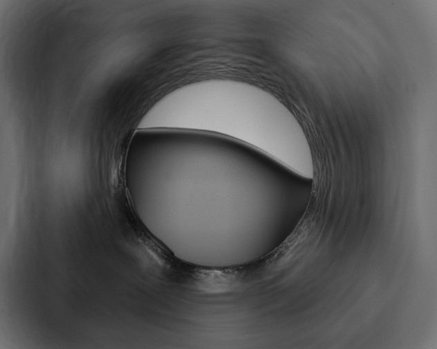 X0000088180239200705150945