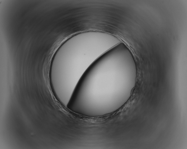 X0000088180241200705150945