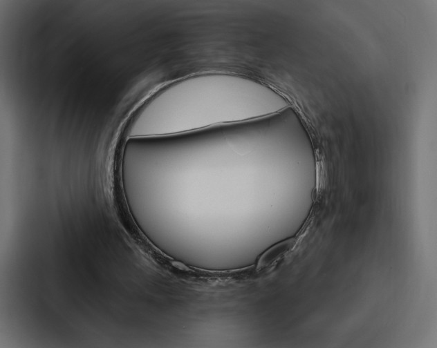 X0000088180243200705150945
