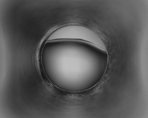 X0000088180244200705150945
