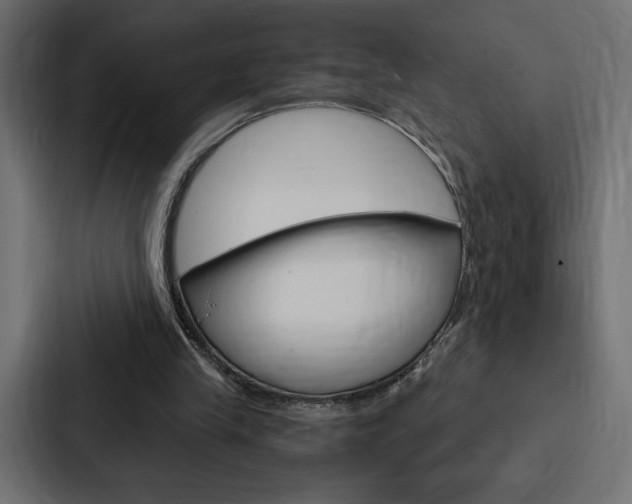 X0000088180245200705150945