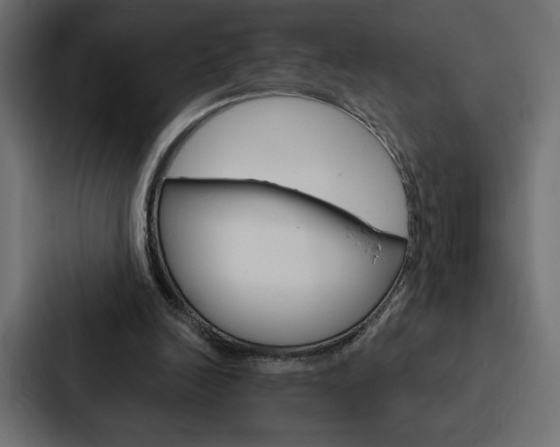 X0000088180246200705150945