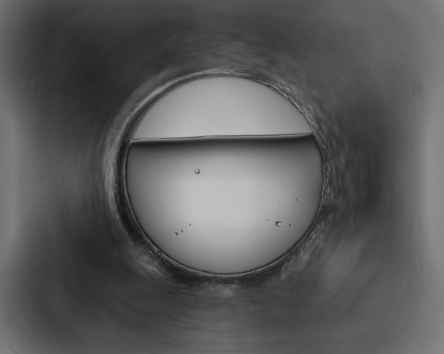X0000088180247200705150945