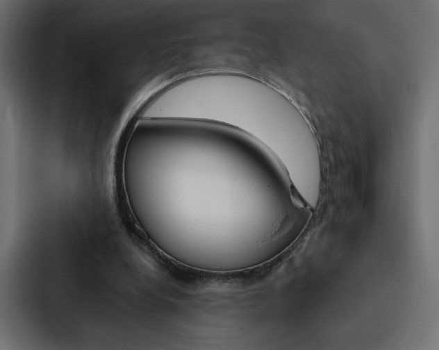 X0000088180248200705150945
