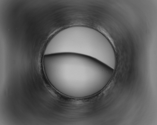 X0000088180249200705150945