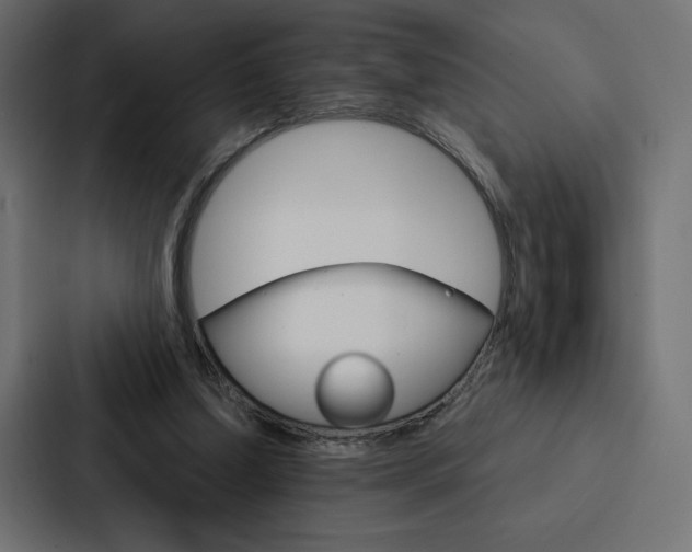X0000088180250200705150945