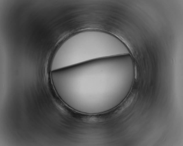 X0000088180253200705150945