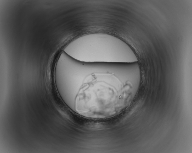 X0000088180254200705150945