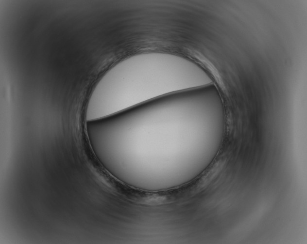 X0000088180257200705150945
