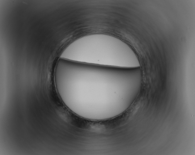 X0000088180258200705150945