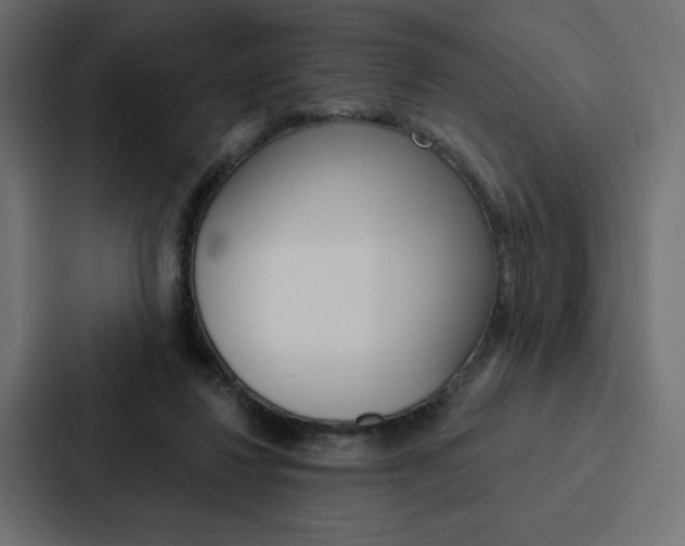 X0000088180260200705150945