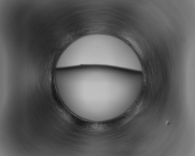 X0000088180261200705150945