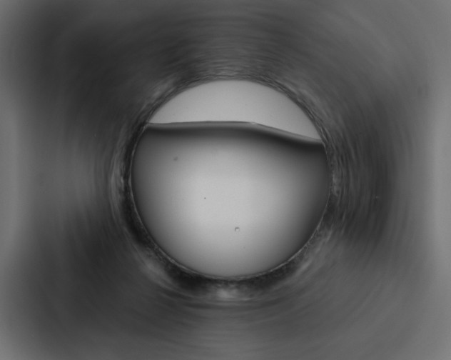 X0000088180264200705150945