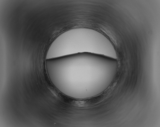 X0000088180265200705150945