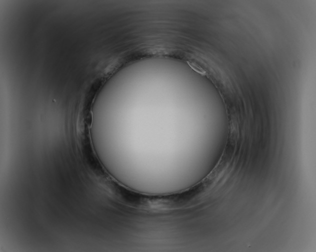 X0000088180268200705150945