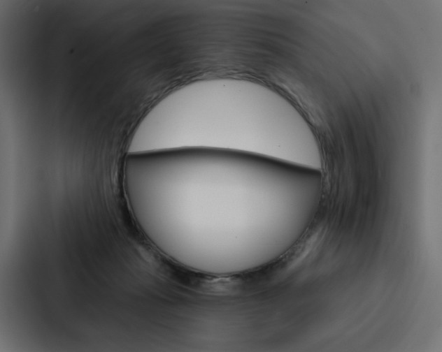 X0000088180269200705150945