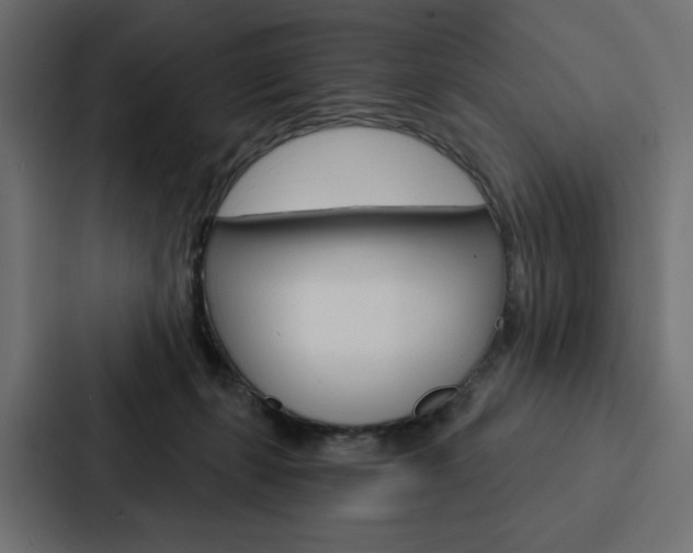 X0000088180271200705150945