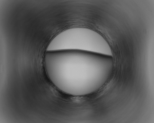 X0000088180273200705150945