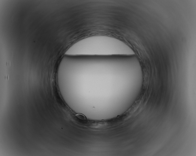 X0000088180274200705150945