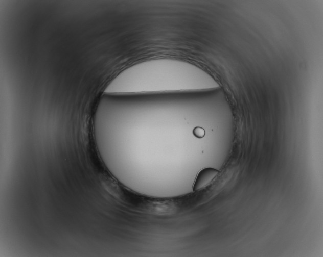 X0000088180275200705150945
