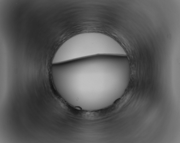 X0000088180277200705150945