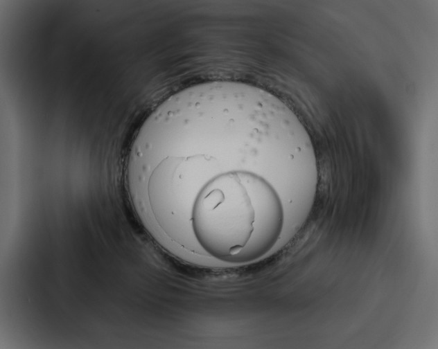 X0000088180278200705150945