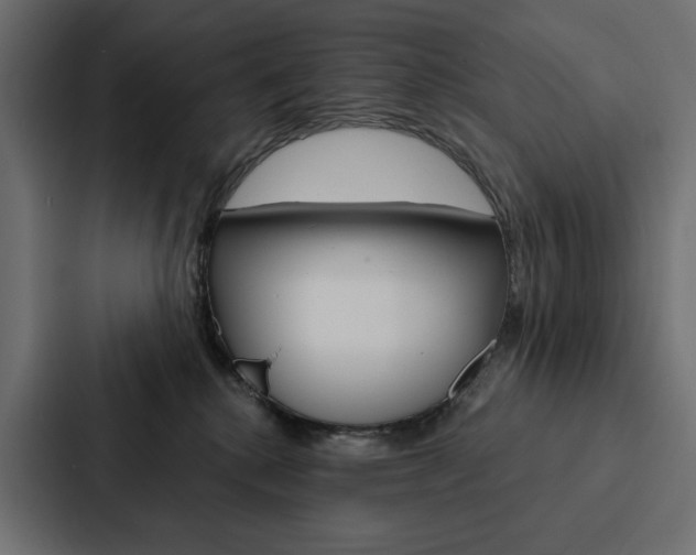 X0000088180280200705150945