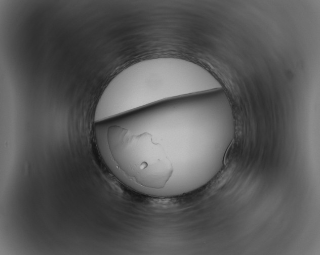X0000088180281200705150945