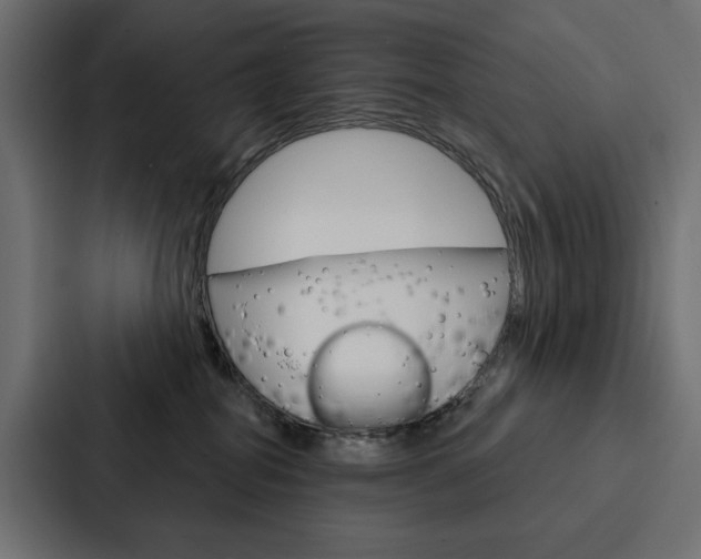 X0000088180282200705150945