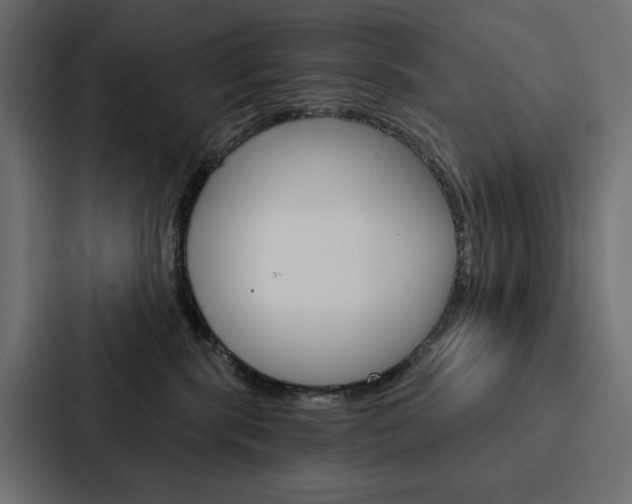 X0000088180283200705150945