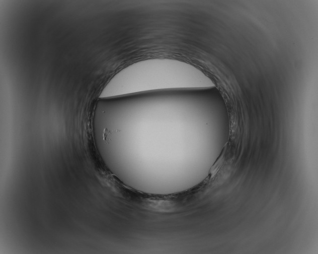 X0000088180284200705150945