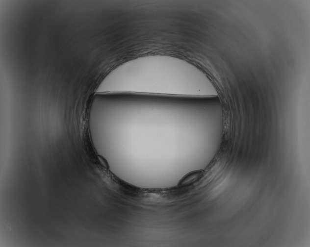 X0000088180285200705150945