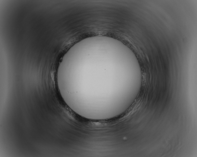 X0000088180286200705150945