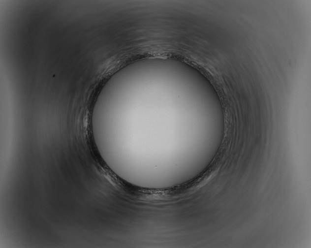 X0000088180288200705150945