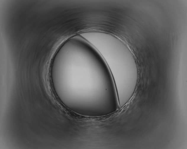 X0000088180289200705150945