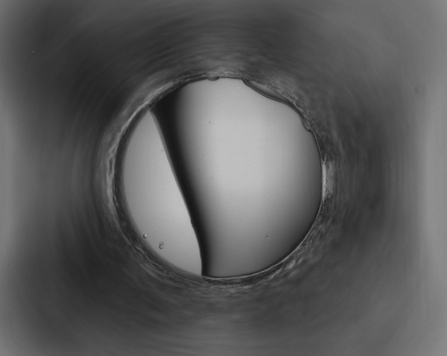 X0000088180291200705150945