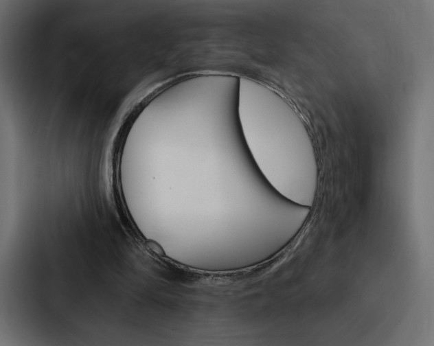 X0000088180294200705150945