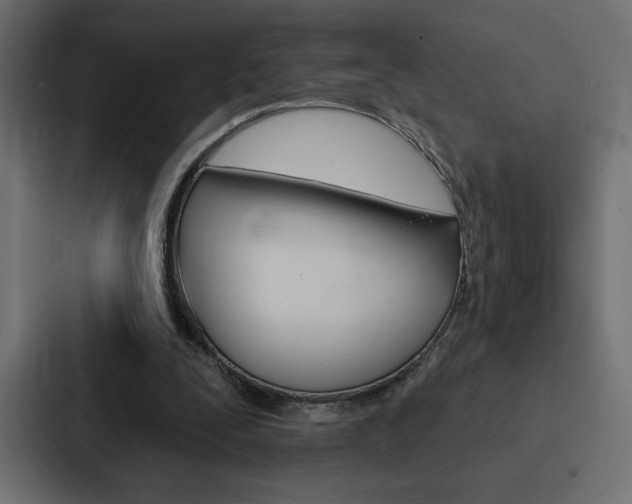 X0000088180295200705150945
