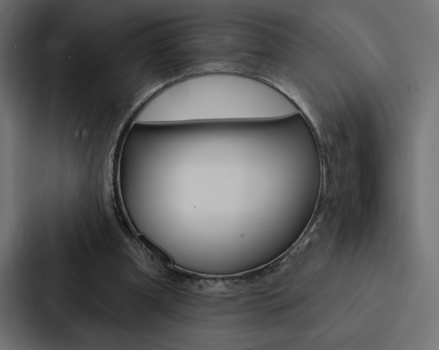 X0000088180297200705150945