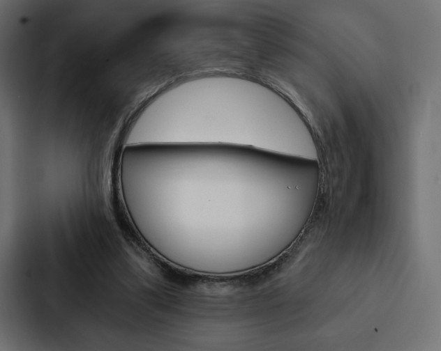 X0000088180299200705150945