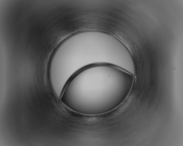 X0000088180301200705150945