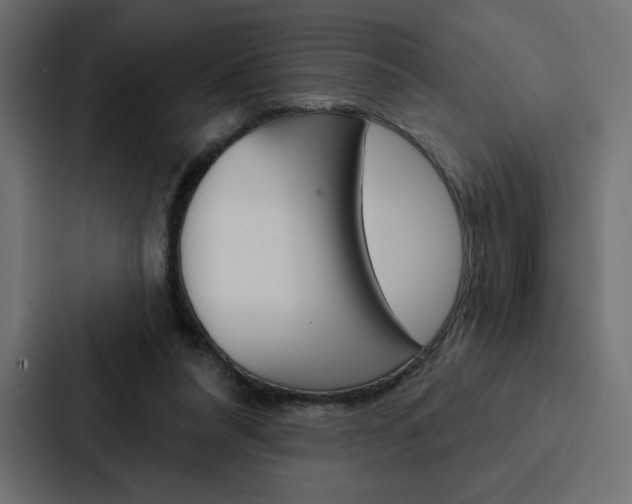 X0000088180304200705150945