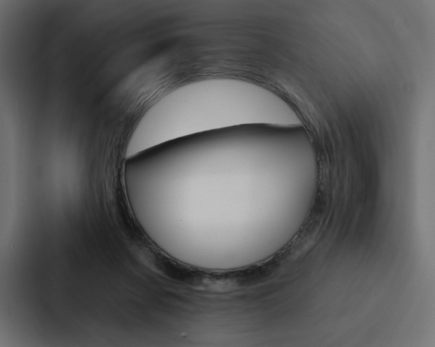 X0000088180311200705150945