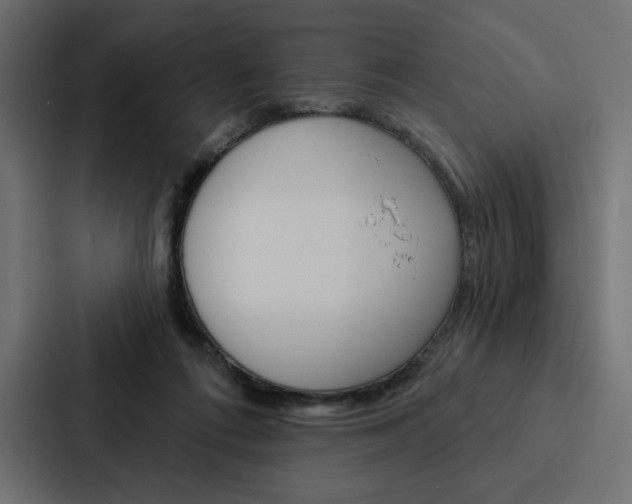 X0000088180312200705150944