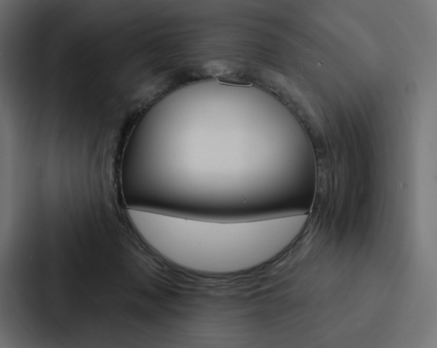 X0000088180317200705150944