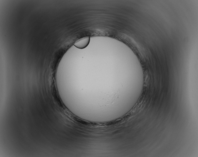 X0000088180318200705150944